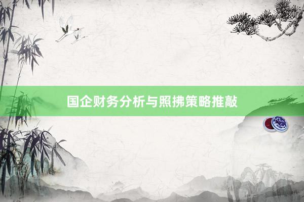 国企财务分析与照拂策略推敲